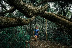 BIB: 
                            <button type="button" onclick="openModal(25708120)" class="btn btn-primary btn-sm float-right btn-popup" data-toggle="modal" data-target=".modal-high-quality">
                        <i class="fas fa-shopping-cart"></i> Add to Cart
                    </button>
                                            <button type="button" onclick="isThisMe(25708120, true)" class="btn btn-success btn-sm float-right btn-popup btn-isme hidden" data-toggle="tooltip" data-placement="bottom" title="นี่คือรูปของคุณใช่ไหม คลิกที่นี่เพื่อเอาเข้าอัลบั้ม">
                        <i class="fas fa-plus"></i> Add to album
                    </button>
                    <button type="button" onclick="isThisMe(25708120, false)" class="btn btn-warning btn-sm float-right btn-popup btn-isnotme hidden">
                        <i class="fas fa-ban"></i> Remove from album
                    </button>